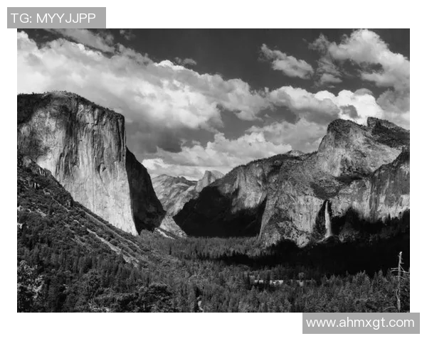 亚当斯的传奇人生与不朽贡献：探索科学与人文的交汇点